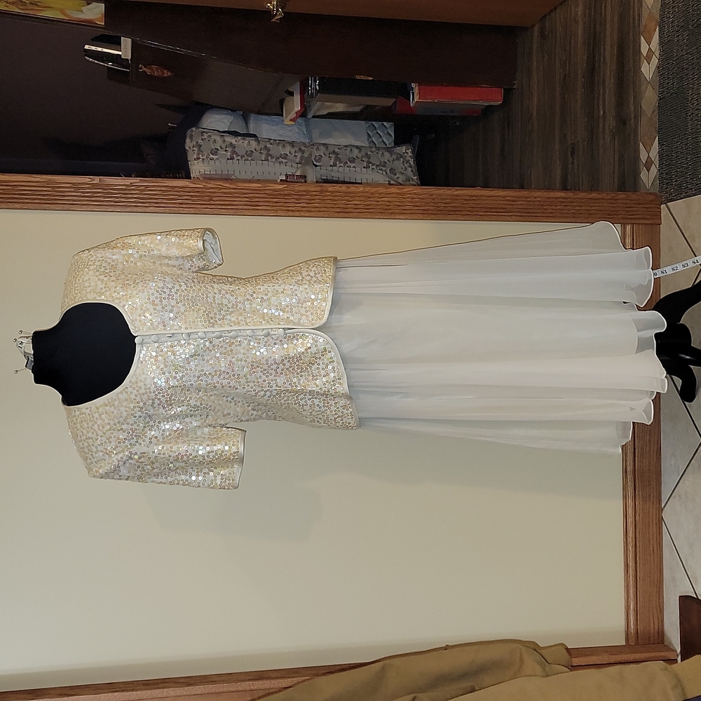 Sparkly top and sheer. Lined skirt. Karen Lawrence. Twirl tested.